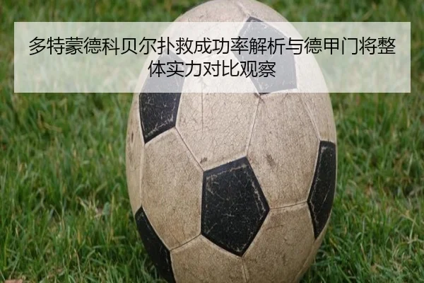 多特蒙德科贝尔扑救成功率解析与德甲门将整体实力对比观察